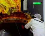 Sous coiffe/Arianespace